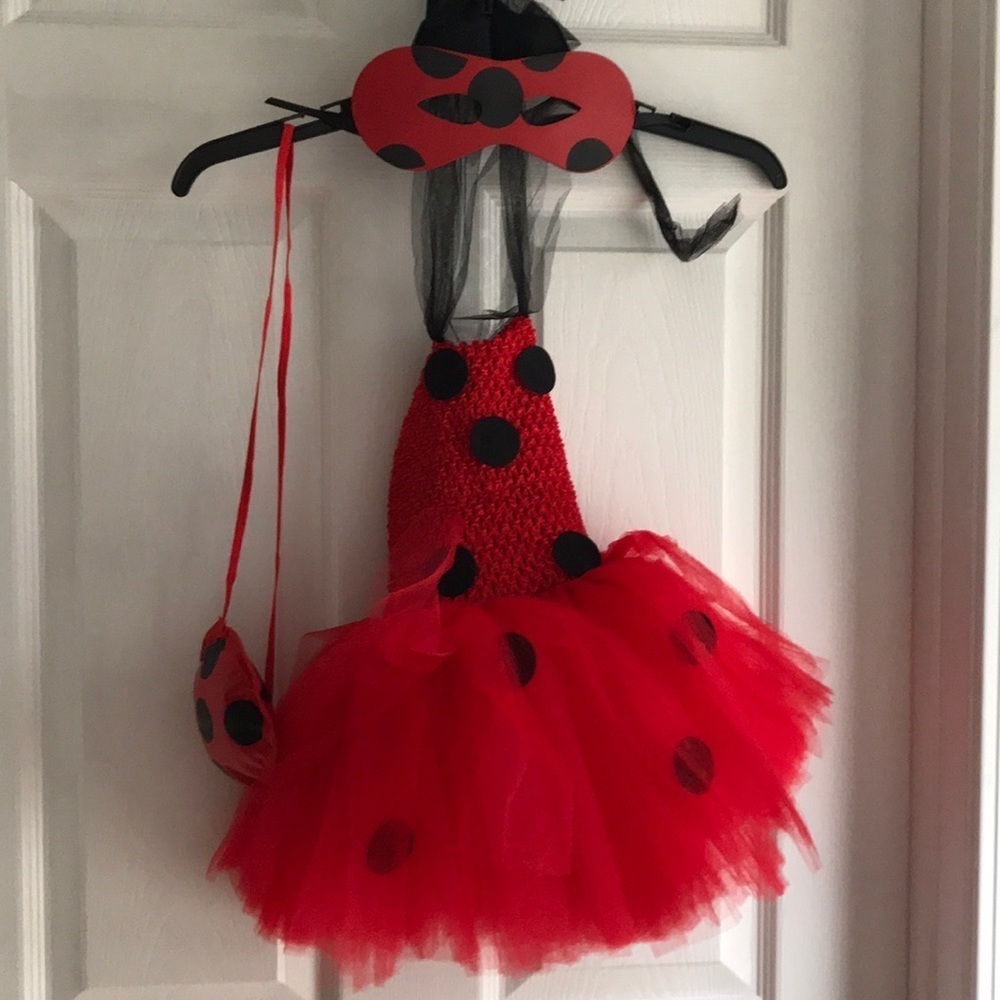 New Small Ladybug costume
